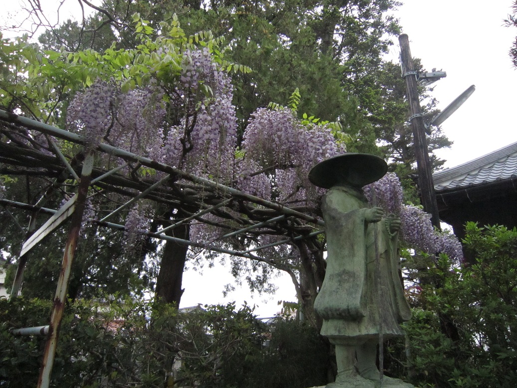 藤の花・聖人像