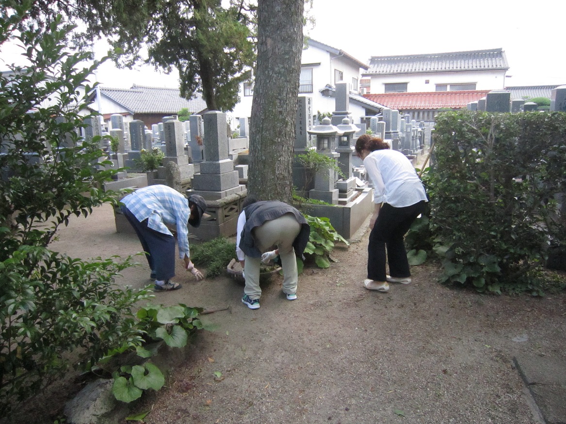 墓地清掃・清掃中・写真