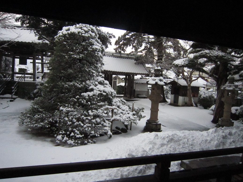 大晦日・雪・写真